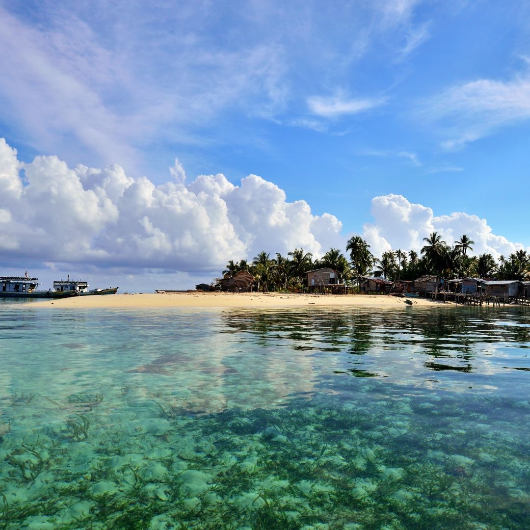 IMG-20231116-WA0023 Manfaat Kolagen Laut bagi Kesehatan