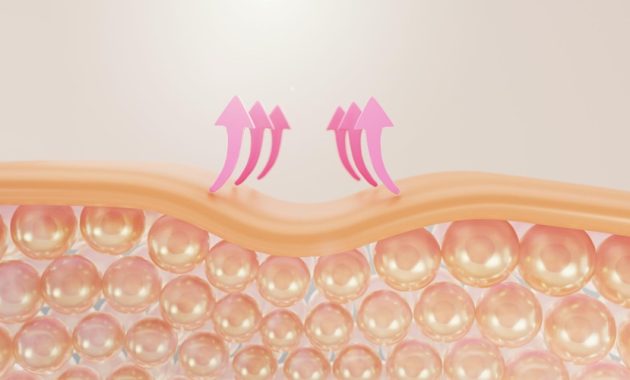 kolagen cream kolagen